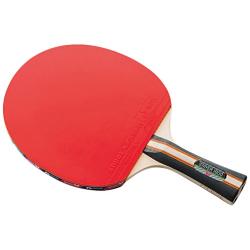 Butterfly Stayer 1800 Shakehand FL Table Tennis Racket with Rubber